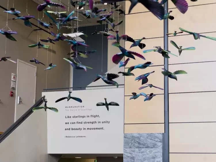 Rebecca Lefebvre Installation - Murmurations Exhibit